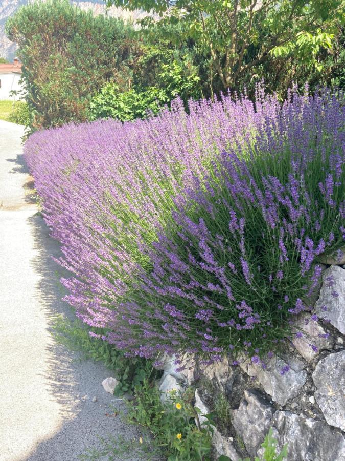 Ferienhaus Auszeit Natur Villach Exteriör bild