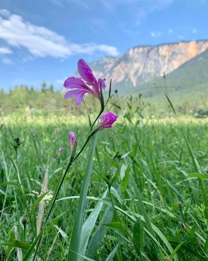Ferienhaus Auszeit Natur Villach Exteriör bild